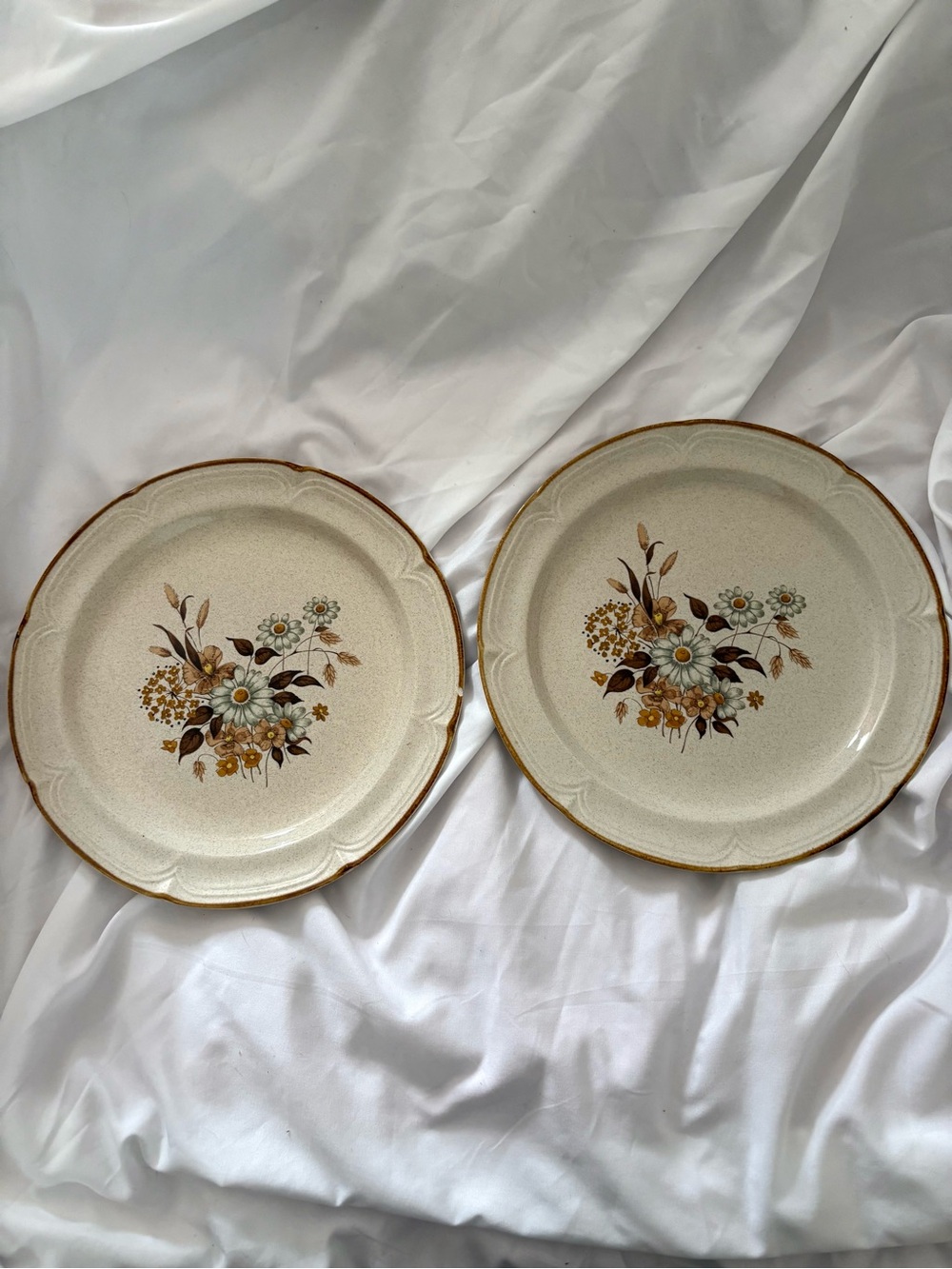 Vintage neutral floral dinner plates ceramic Finesse Wellington set of 2